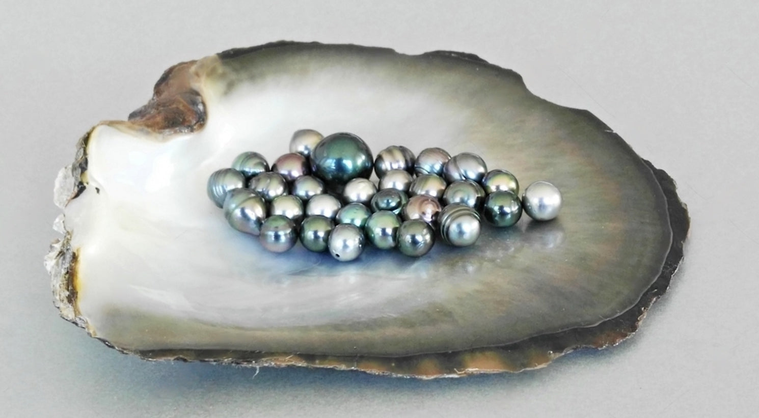 Bracciale Con Perle Di Conchiglia Tahiti Grigio - Gioiello Donna Schmuckwilli, Lunghezza 20 Cm