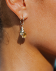 Caracola earrings